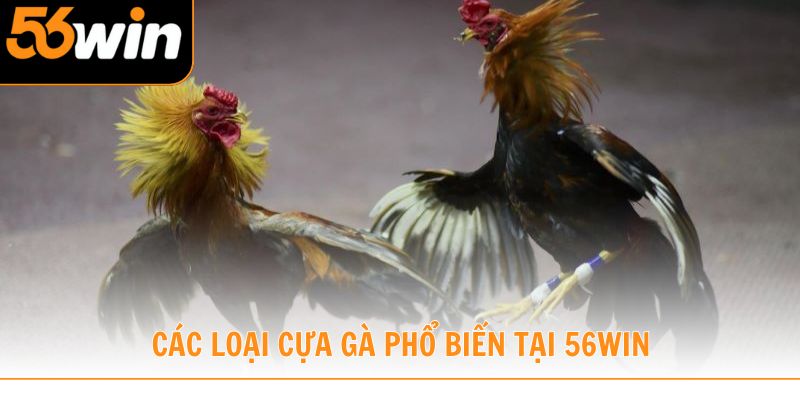Tìm hiểu các loại cựa gà phổ biến tại 56win