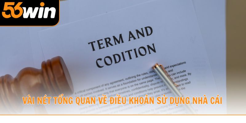 Vài nét tổng quan về điều khoản sử dụng nhà cái