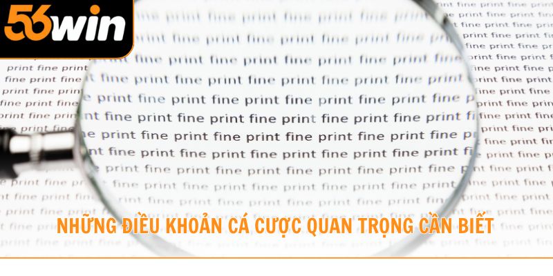 Những điều khoản cá cược quan trọng cần biết