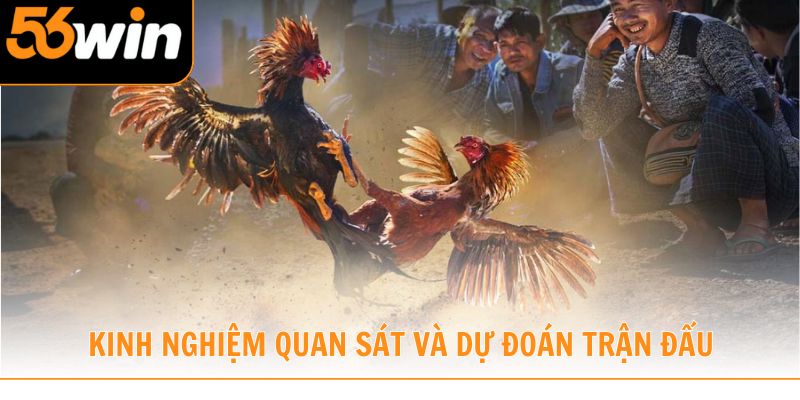 Cùng 56WIN tổng hợp kinh nghiệm quan sát và dự đoán trận đấu