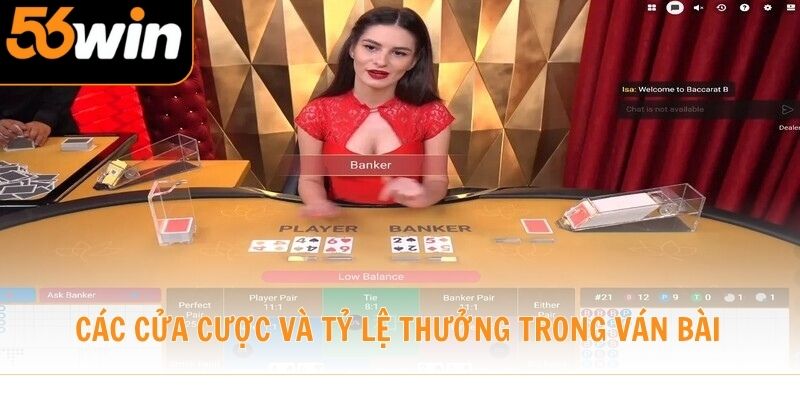 Các cửa cược và tỷ lệ thưởng trong ván bài