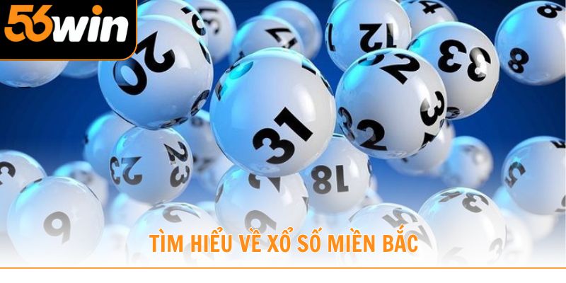 Tìm hiểu thông tin về xổ số miền Bắc cùng 56win